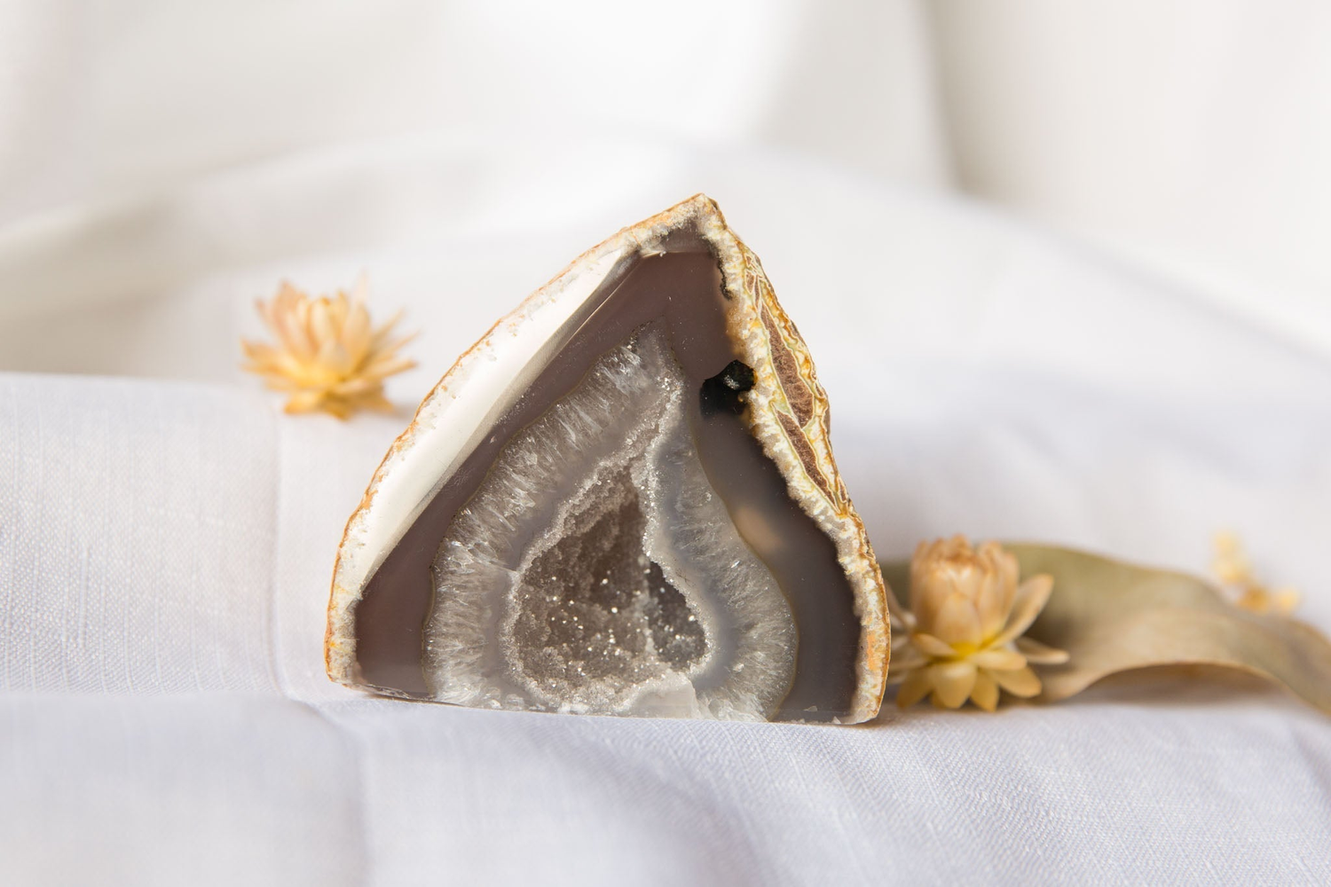 Agate Collection at Clarity Co.