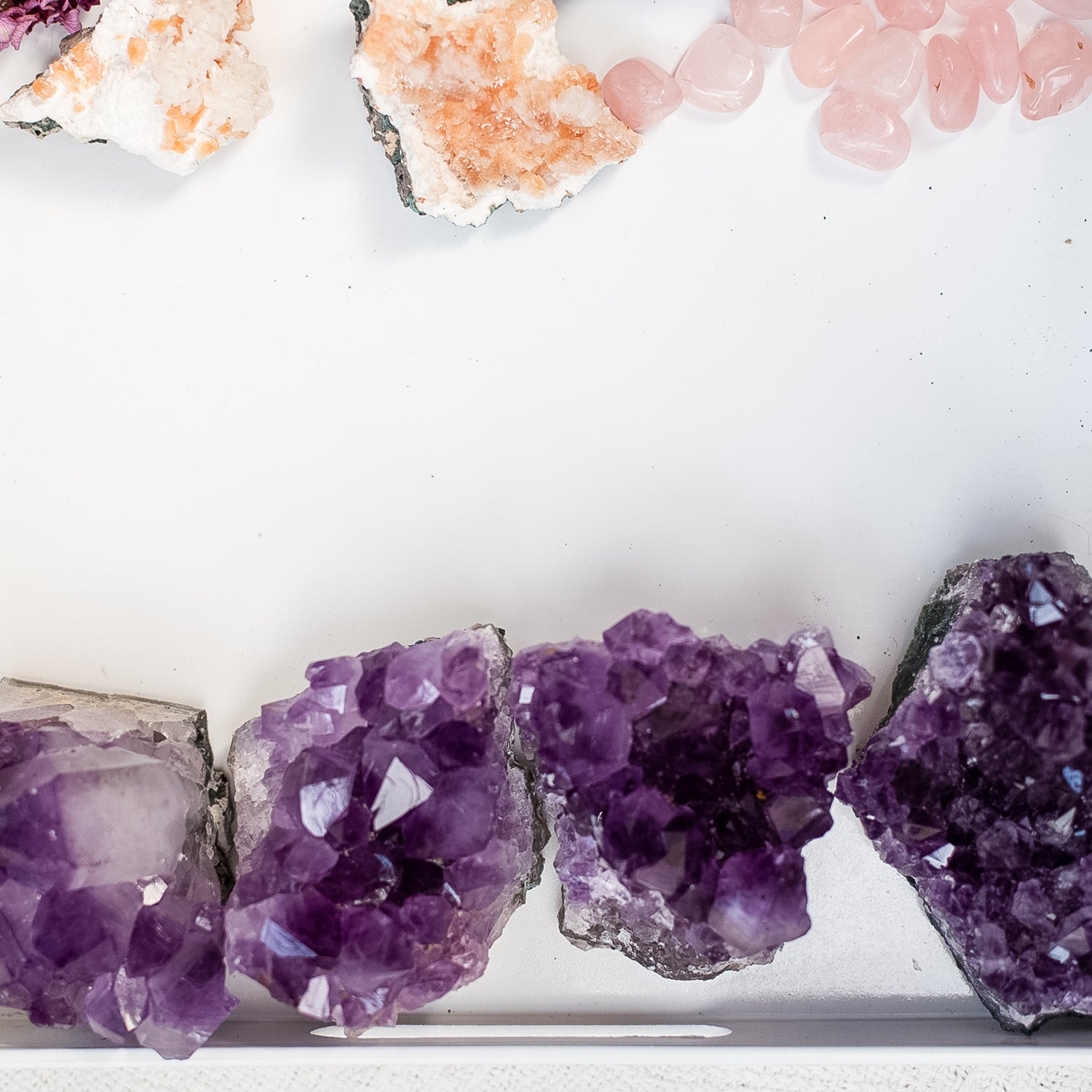 CLUSTERS + SPECIMENS