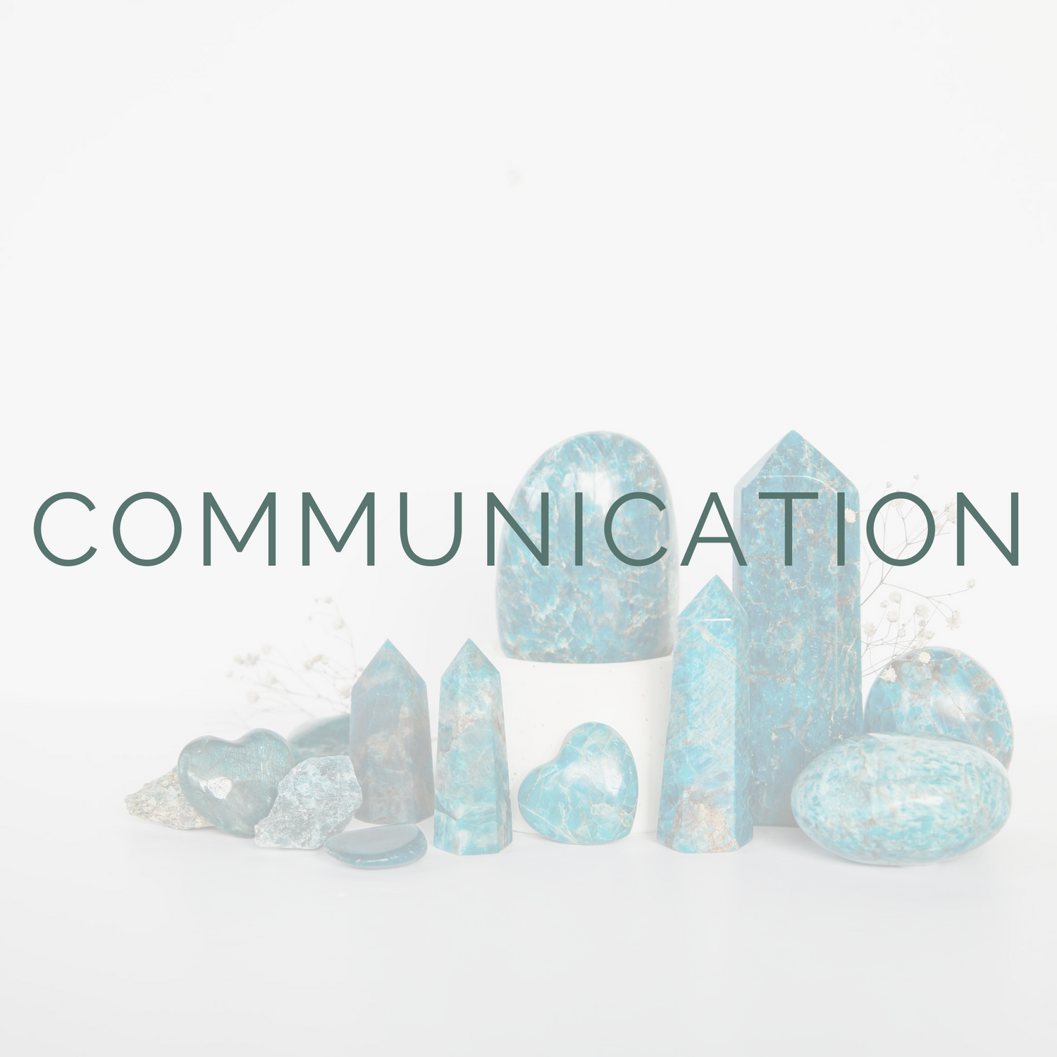 COMMUNICATION