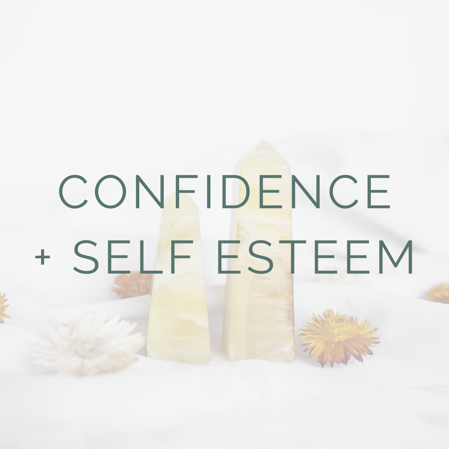 CONFIDENCE + SELF ESTEEM