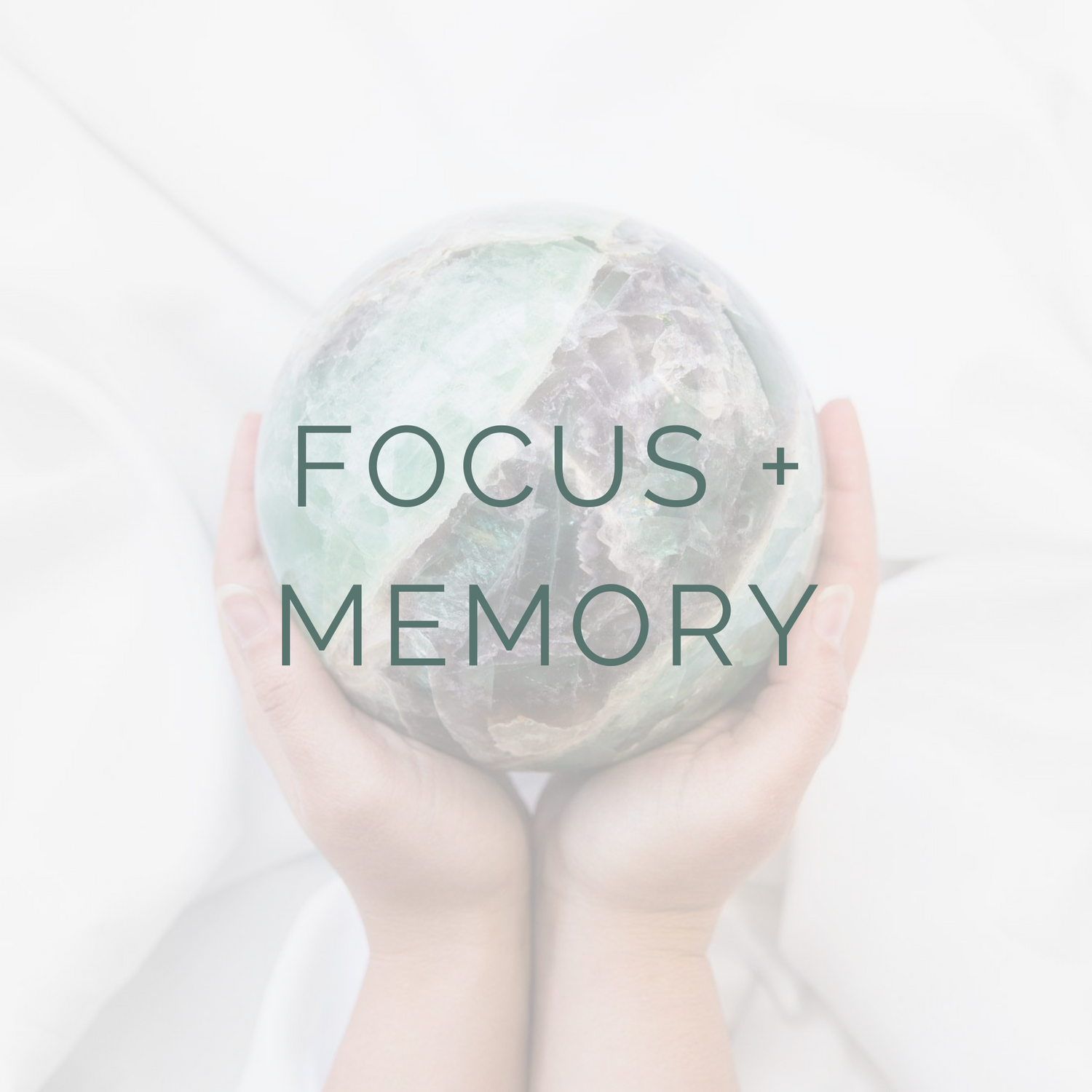 FOCUS + MEMORY