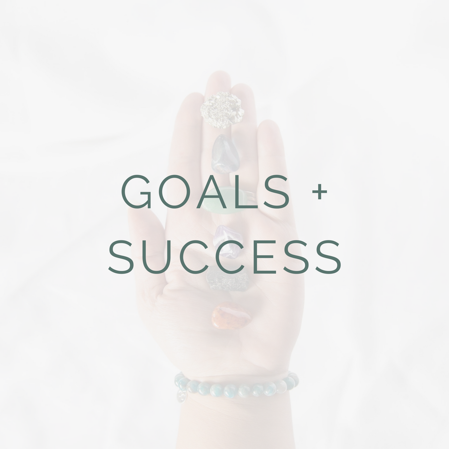 GOALS + SUCCESS
