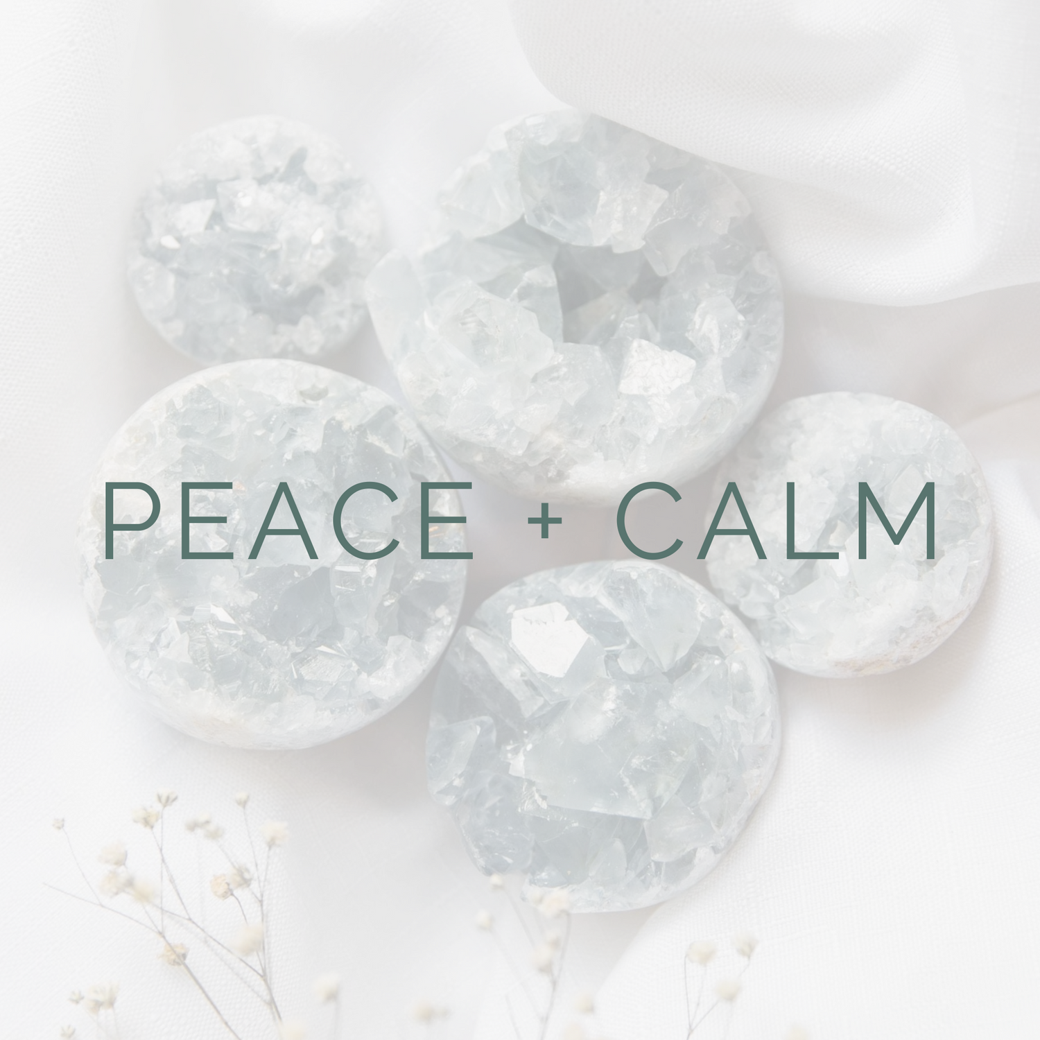 PEACE + CALM