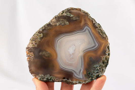 Moss Agate Slab #3 - Premium Crystals + Gifts from Clarity Co. - NZ's Favourite Online Crystal Shop
