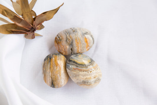 Black Crazy Lace Agate Palmstones