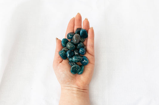 Hand holding blue stones against a white background