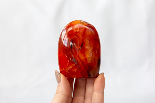 Hand holding a polished orange and red stone against a white background