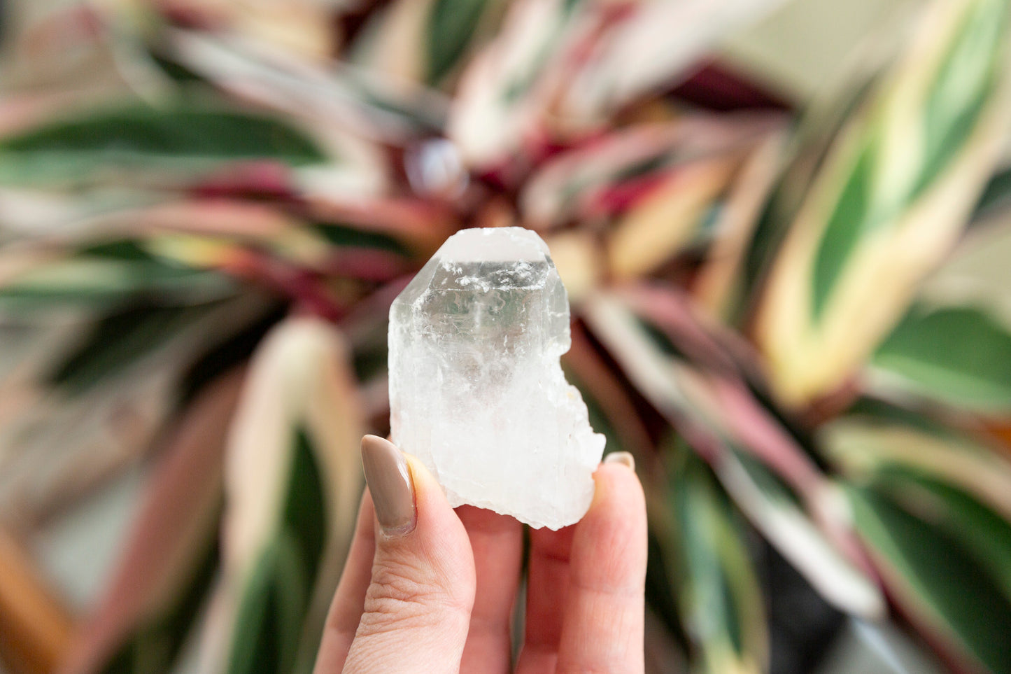 Clear Quartz Natural Points