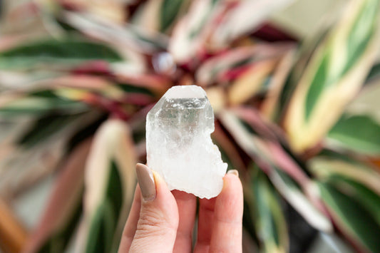 Clear Quartz Natural Points