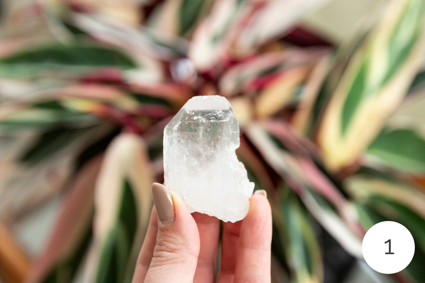 Clear Quartz Natural Points