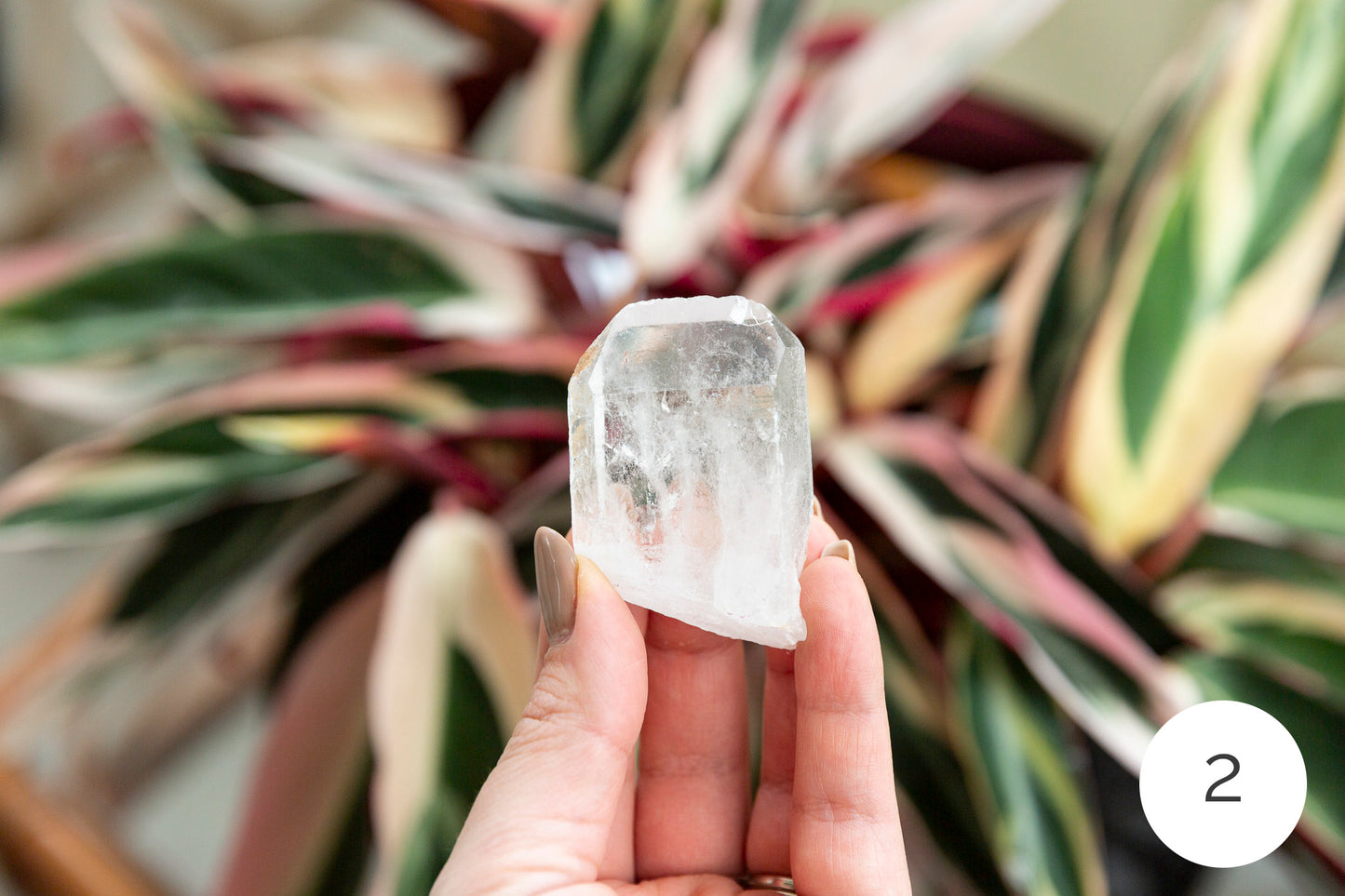Clear Quartz Natural Points