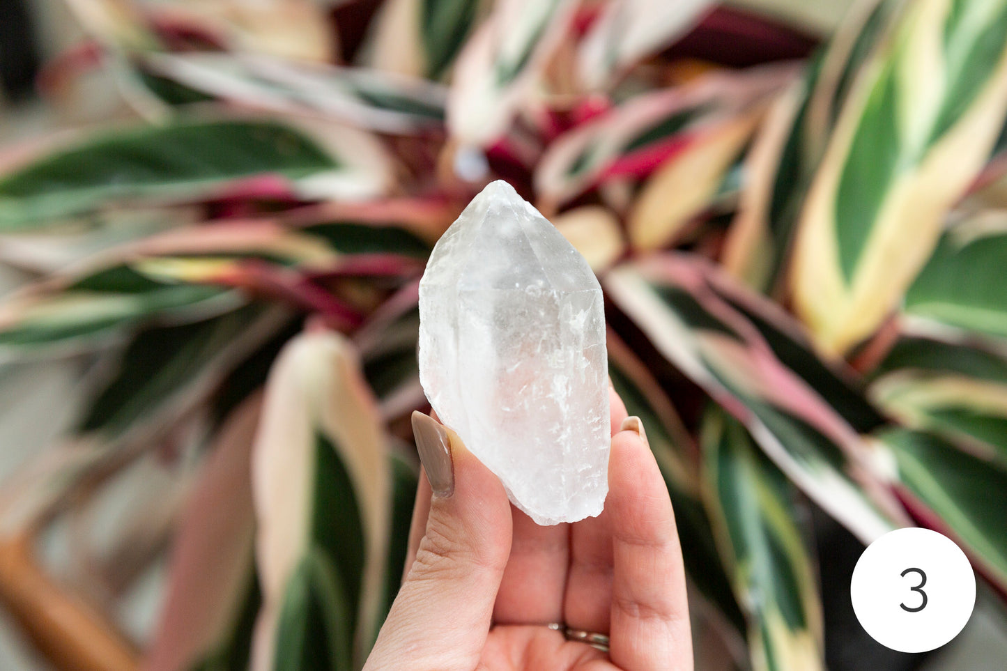 Clear Quartz Natural Points