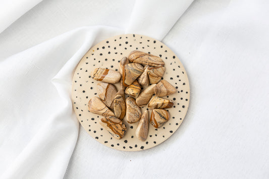 Picture Jasper Tumblestones