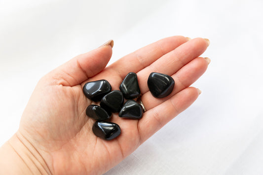 Hand holding several black stones against a white background