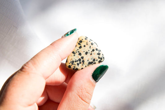 Dalmation Jasper XL Tumblestones - Premium Crystals + Gifts from Clarity Co. - NZ's Favourite Online Crystal Shop