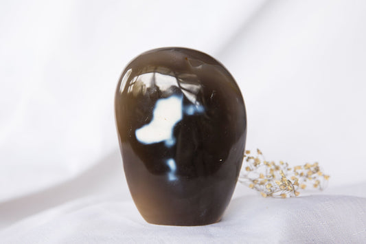 Orca Agate Freeform #6 - Premium Crystals + Gifts from Clarity Co. - NZ's Favourite Online Crystal Shop